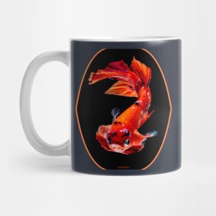 fish, cute fish, free fish, coral fish, fish coral, goldfish, pez, peces, pez colar, peces coral Mug